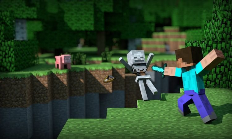 Minecraft survival mode